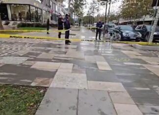 50-vjeçarja humb jetën pasi u rrëzua në bulevard