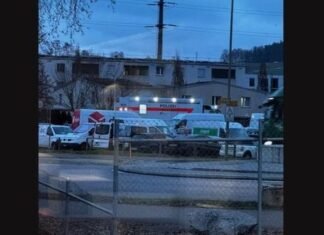 E rëndë në Zvicër! 71-vjeçarja shqiptare gjendet e MASAKRUAR në banesë, në pranga një grua zviceriane dhe 2 burra