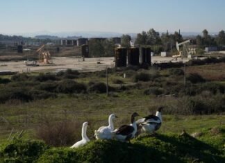 Nafta që ‘vret’: Patos-Marinza shpërthen në sëmundje malinje