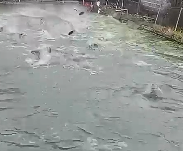 -640-0-1768081399xscreenshot-2026-01-10-214300-313