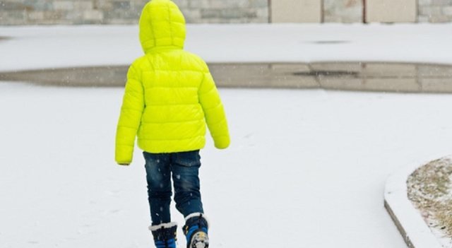 640-0-9327212-29085227-bimbo-belluno-1769793368