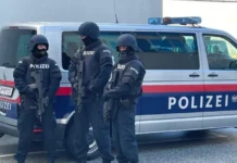 E rëndë në Austri/ Nëna vret me thi*kë djalin e saj 12-vjeçar