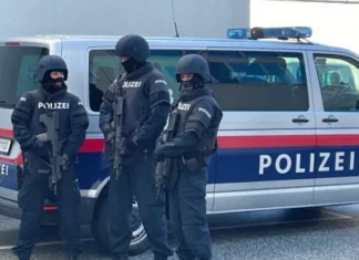 E rëndë në Austri/ Nëna vret me thi*kë djalin e saj 12-vjeçar