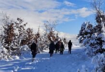 Peisazhe mahnitëse nga dëbora në fshatrat e Librazhdit, numër i lartë turistësh drejt destinacioneve malore