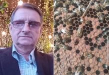 Specialisti veteriner në Gramsh, Yzeir Miraka, i bën thirrje bletërritësve të kenë kujdes në periudhën e dimrit