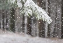 Reshje shiu e dëbore, parashikimi i motit për sot