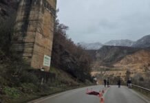 Policia jep informacion lidhur me ngjarjen në Prrenjas: 57-vjeçari dyshohet se u vetëhodh nga ura e Bushtricës