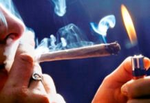 Çfarë po ndodh me të rinjtë në Gjermani? Legalizimi i kanabisit dhe shtimi i psikozave