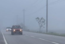 Mjegulla “paralizon” aksin Korçë–Pogradec, thirrje për kujdes për qarkullimin e automjeteve