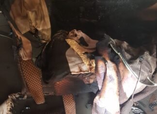 EMRI/ Merr flakë banesa, humb jetën e moshuara