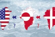 Pas Venezuelës, SHBA i shpall luftë Danimarkës?! Postimi që acaroi shtetin evropian
