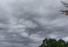 Parashikimi i motit për sot