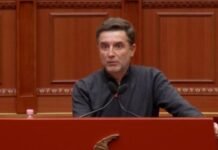 Braçe akuzon qeverinë se tha ‘gjysmën e së vërtetës’ për dëmshpërblimet nga zjarret: Paratë u dhanë për shtëpitë, jo për bagëtinë