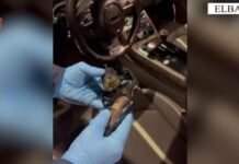 Qarkullonte me makinë të kamufluar si mjet policie dhe me armë, arrestohet i riu në Elbasan