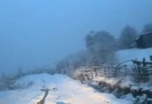 Reshjet e dëborës ‘pushtojnë’ juglindjen e vendit, bora në fshatin Rovje të Gramshit arrijnë deri në 20 cm
