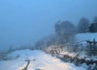 Reshjet e dëborës ‘pushtojnë’ juglindjen e vendit, bora në fshatin Rovje të Gramshit arrijnë deri në 20 cm