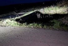 Identifikohet vajza që humbi jetën sot në aksidentin tragjik