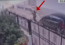 Elbasan/ Grabiti me dhunë një grua, arrestohet 52-vjeçari