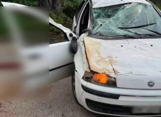 Aksident tragjik në Athinë/ Automjeti me tre të mitur përplaset me një pemë! Humb jetën një 15-vjeçar, në makinë edhe një shqiptar