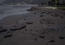 Fenomen i rrallë në Orikum: Deti ngrihet mbi 1.5 metra, përmbyten biznese dhe rrugë