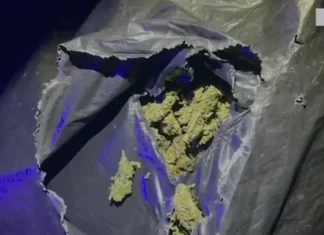 Goditet grupi i trafikut të drogës! Sekuestrohen armë dhe 41 kg kanabis sativa, arrestohet katër persona