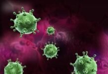 “Gripi më i rrezikshëm i këtij shekulli në Shqipëri”, Panariti: Duhen masa urgjente në kopshte dhe spitale