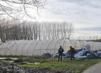 E rëndë/ Vritet me plumb në kokë dhe mbulohet me rërë 25-vjeçari shqiptar në Itali