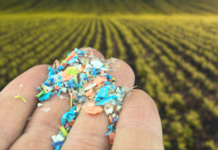 Pesticidet dhe mirkoplastika po përfundojnë në stomakun tonë! Ja lista e produkteve të dëmshme