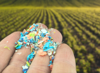 Pesticidet dhe mirkoplastika po përfundojnë në stomakun tonë! Ja lista e produkteve të dëmshme
