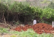 Vrau bashkëshorten dhe më pas veten! Asnjëri nga 9 fëmijët nuk pranoi të tërheqë trupin nga morgu, varroset i vetëm trupi i 80-vjeçarit