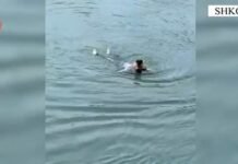 Policia shpëton 59-vjeçaren nga lumi, transportohet në spital në gjendje të rëndë