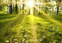 Parashikimi i motit për ditën e sotme, 7 Mars 2026