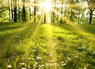 Parashikimi i motit për ditën e sotme, 7 Mars 2026