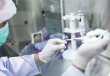 Jo më Ozempic? Shkencëtarët gati ilaçin kundër obezitetit, bëhet nga gjaku i pitonit dhe zvogëlon oreksin