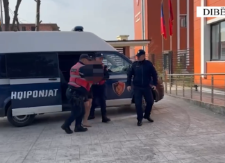 Plagosja e efektivit ‘Shqiponja’ gjatë ndjekjes së një personi, reagon policia: kapëm autorin