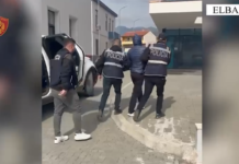 Kapet i dënuari për vjedhje në Elbasan