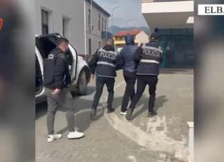 Kapet i dënuari për vjedhje në Elbasan