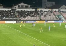 Elbasani me “armë shtesë” ndaj Dinamos, rikthehen dy nga më të mirët e Gvozdenoviçit