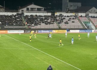 Elbasani me “armë shtesë” ndaj Dinamos, rikthehen dy nga më të mirët e Gvozdenoviçit