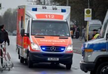 Tragjedi në Gjermani: Kamioni përplas për vdekje 29-vjeçaren dhe djalin e saj 3-vjeçar