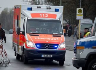 Tragjedi në Gjermani: Kamioni përplas për vdekje 29-vjeçaren dhe djalin e saj 3-vjeçar