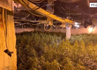 Vazhdon operacioni ‘Kurtaj’ në Peqin: 1 i arrestuar dhe 4 të shpallur në kërkim