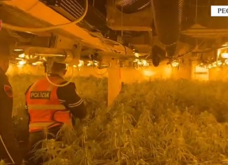 Kapen magazinat me kanabis në pronësi të drejtorit të burgut Rrogozhinë. Shpallet në kërkim edhe përgjegjësi i OSHEE