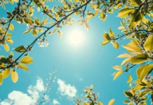 E mërkura me mot të kthjellët e me diell, vranësira në zonat malore