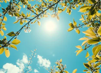 E mërkura me mot të kthjellët e me diell, vranësira në zonat malore