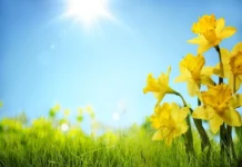 Mot i kthjellët thuajse në gjithë territorin, reshje të dobëta në zonat lindore