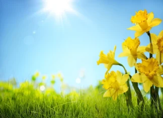 Mot i kthjellët thuajse në gjithë territorin, reshje të dobëta në zonat lindore