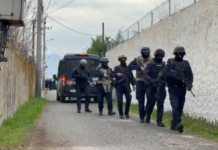 Të shtënat me armë! Drejtuesi i automjetit nuk iu bind urdhrit të Policisë! Gjatë ndjekjes pasagjeri qëlloi në ajër