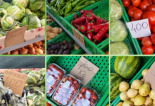 Domatja që po na kushton sa ‘floriri’