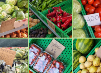 Domatja që po na kushton sa ‘floriri’